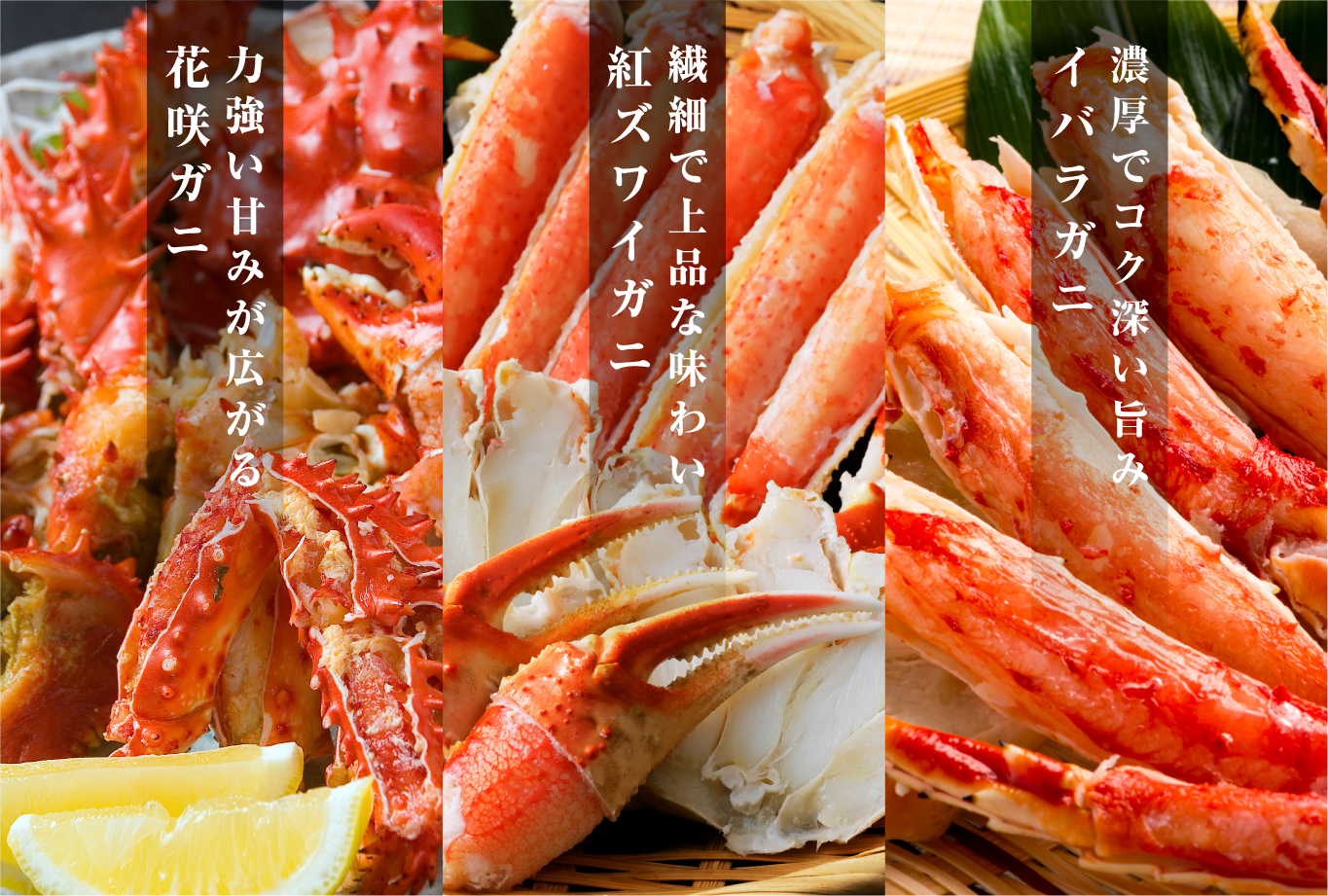 紅ズワイガニ・花咲ガニ・イバラガニの食べ比べ