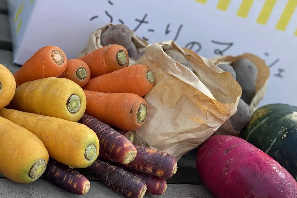 アンビシャスファームが育てる彩り野菜