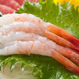 甘えびのお刺身